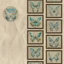 Washi Tape Mariposas Vintage